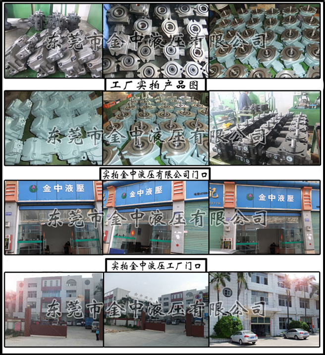 東莞金中液壓，液壓泵廠家，液壓葉片泵