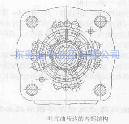 葉片泵|葉片油馬達(dá)內(nèi)部結(jié)構(gòu)圖