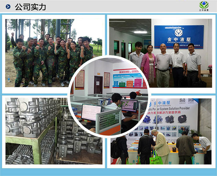 液壓泵廠家 液壓泵型號 金中液壓 液壓油泵公司
