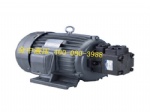 液壓馬達(dá)7.5HP+PV2R1